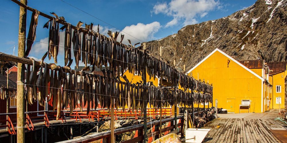 Baccalà alla Vicentina, stockfish from Norway